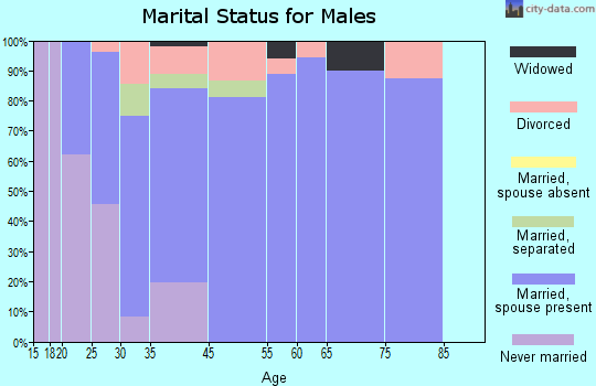 Schlusser marital status for males