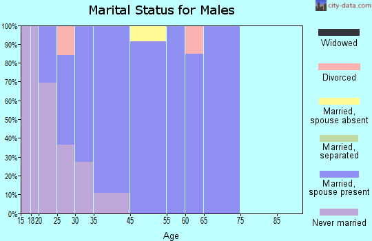 Schnecksville marital status for males
