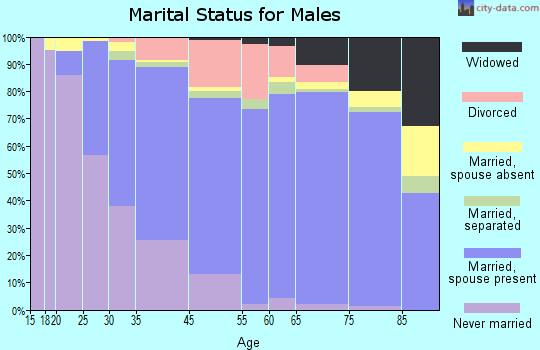 Scott Township marital status for males