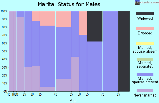 Seven Valleys marital status for males