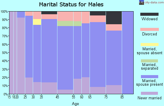 Shinglehouse marital status for males