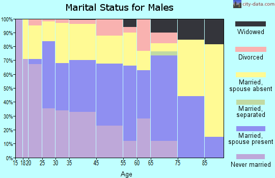 Shoemakersville marital status for males