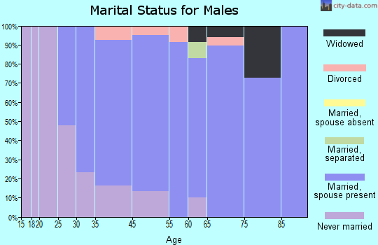 Skyline View marital status for males