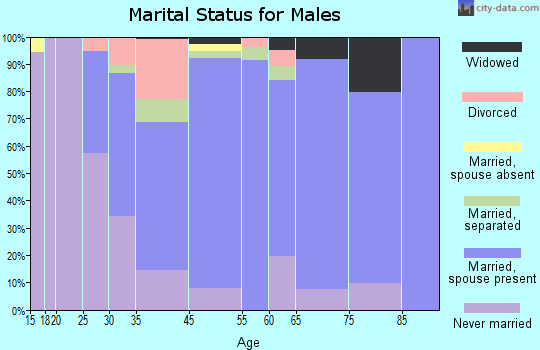 Slatington marital status for males