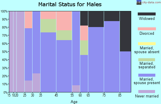 South Bethlehem marital status for males