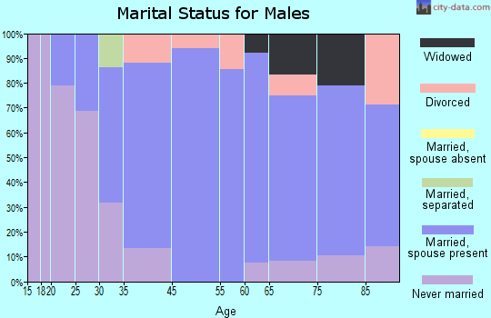 South New Castle marital status for males
