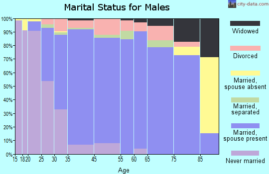 South Park Township marital status for males