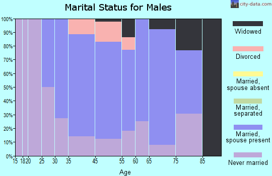 South Renovo marital status for males