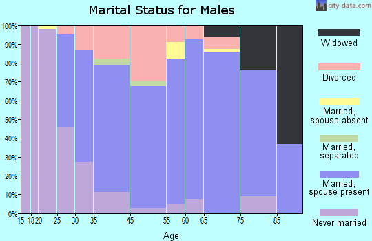 South Williamsport marital status for males