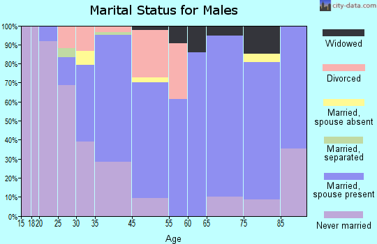 Springdale marital status for males