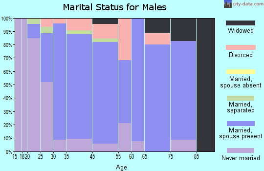 Spring Grove marital status for males
