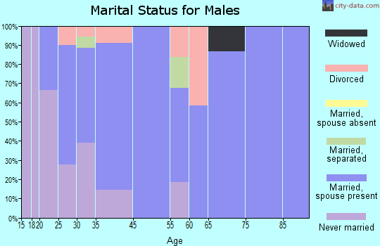 Spring Mount marital status for males