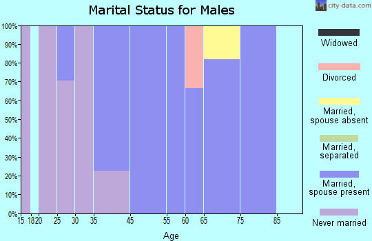Spring Ridge marital status for males
