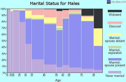 State College marital status for males