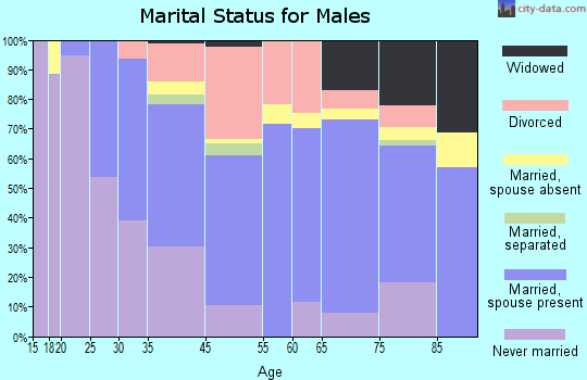 Stowe Township marital status for males