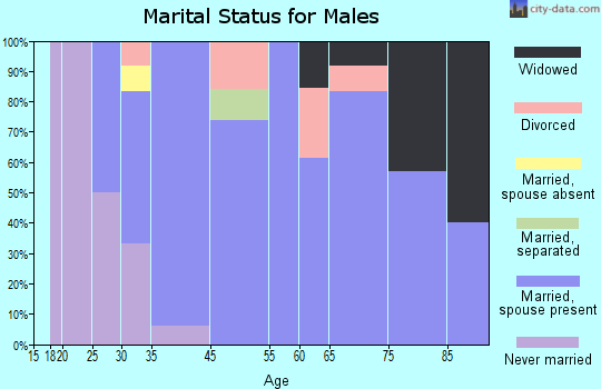 Stoystown marital status for males