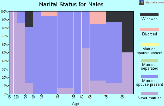 Summerhill marital status for males