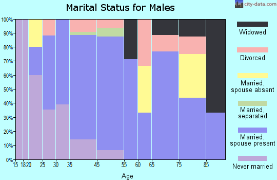 Summerville marital status for males
