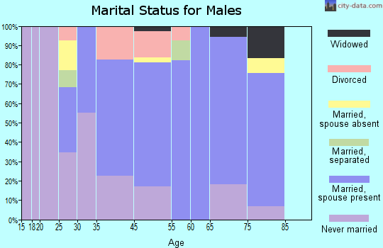 Summit Hill marital status for males