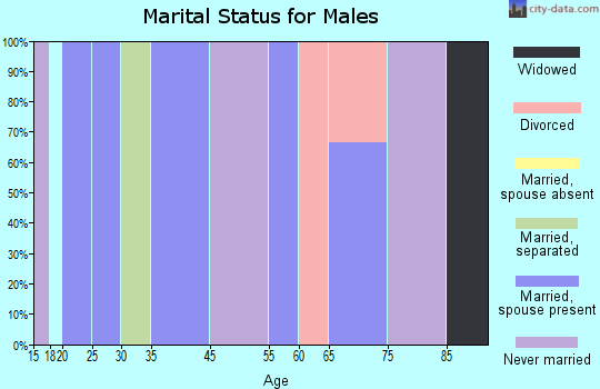 Summit Station marital status for males
