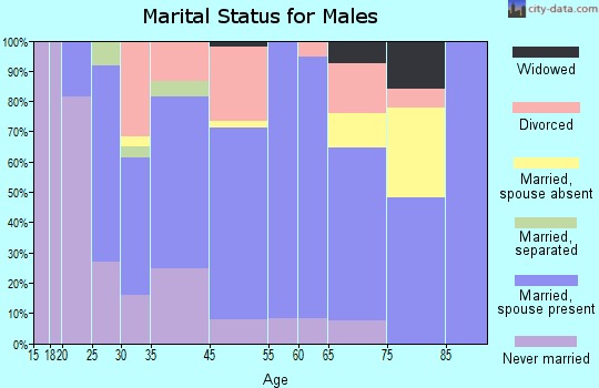 Susquehanna Depot marital status for males