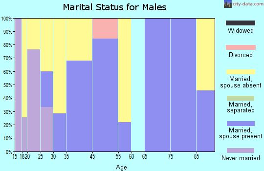 Toughkenamon marital status for males