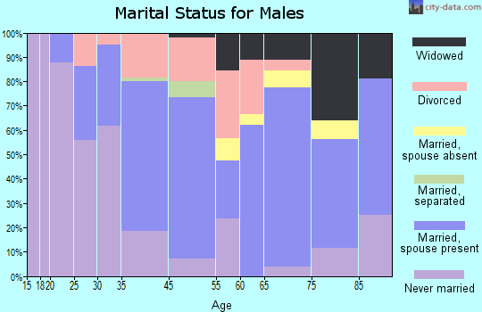 Turtle Creek marital status for males