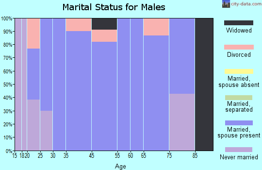 Union Dale marital status for males