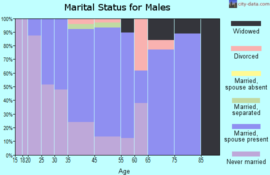 Valley View marital status for males