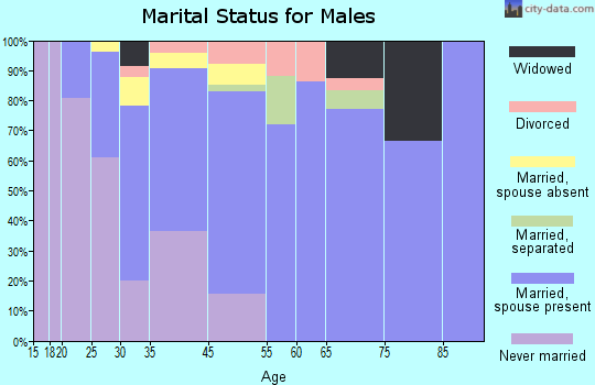 Hamilton City marital status for males