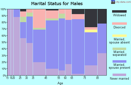 West Brownsville marital status for males