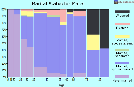 West Goshen marital status for males
