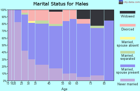 West Lawn marital status for males
