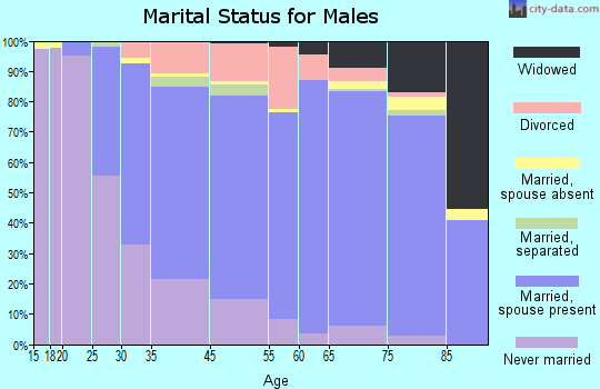 West Mifflin marital status for males