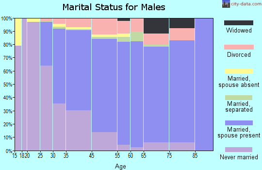 West Norriton marital status for males