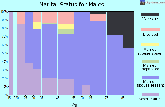 West Wyomissing marital status for males