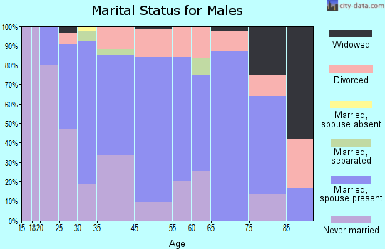 Williamsburg marital status for males
