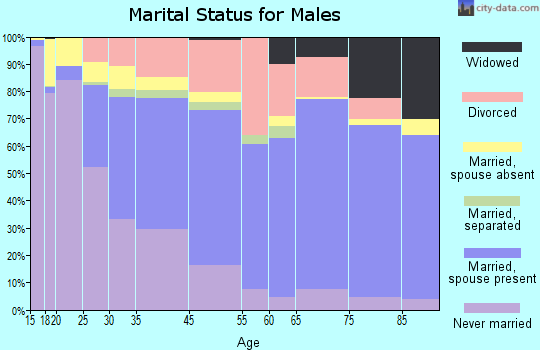 Williamsport marital status for males