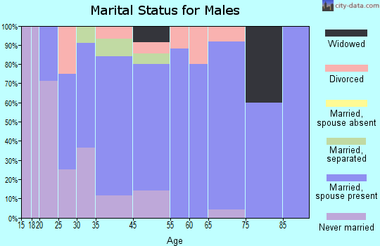 Winterstown marital status for males