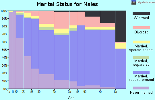 Hemet marital status for males