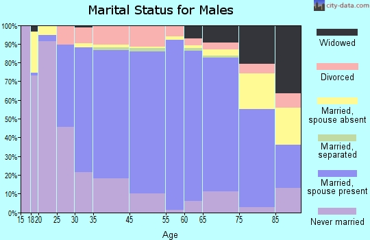 Bristol marital status for males