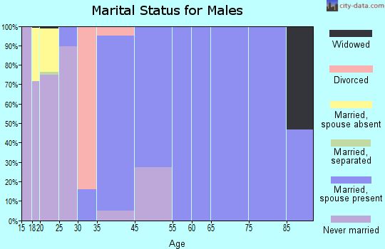 Kingston marital status for males