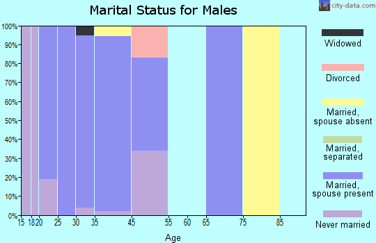 Melville marital status for males