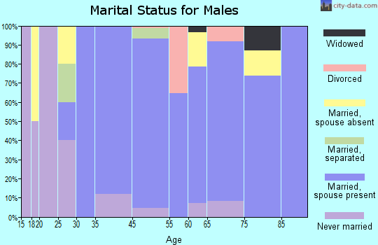 Awendaw marital status for males