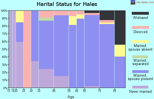 Hidden Meadows marital status for males