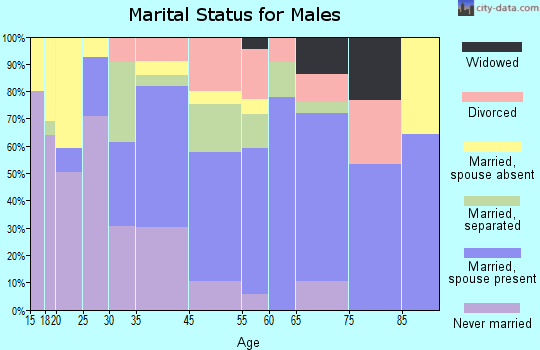 Bishopville marital status for males