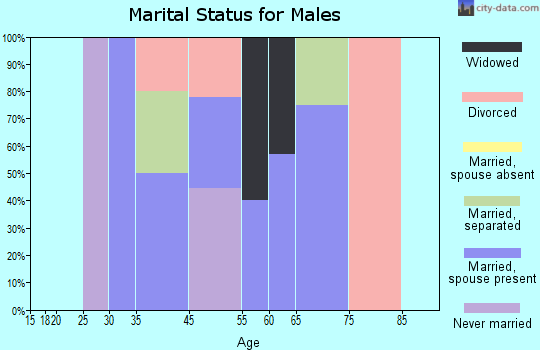 Blenheim marital status for males
