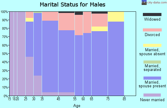 Hidden Valley Lake marital status for males