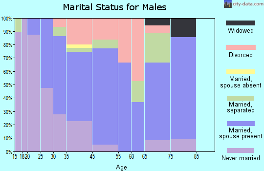 Branchville marital status for males