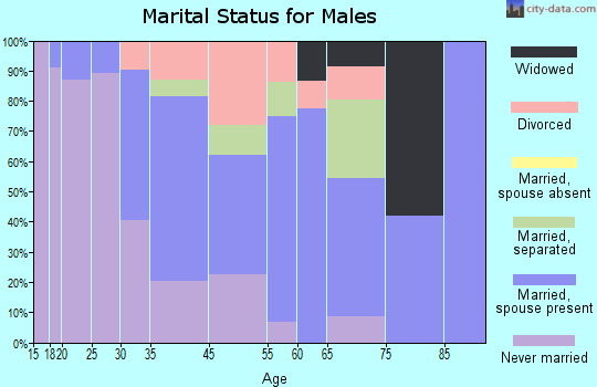 Calhoun Falls marital status for males